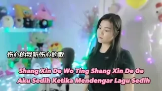 Shang Xin De Wo Ting Shang Xin De Ge《 伤心的我听伤心的歌 》- Peace Duan cover
