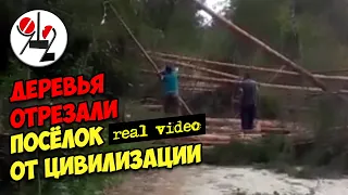 К чему приводит вырубка леса. Real Video