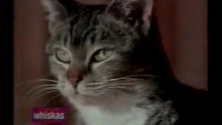 Comercial Whiskas - 1996