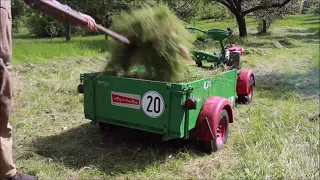 Wiesenmähen mit der Agria 4000