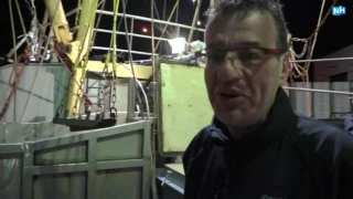 Helderse vissers brengen reuze-heilbot aan land: "Dit maak je maar één keer mee"
