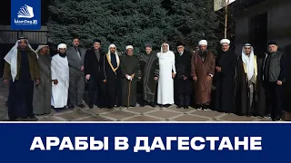 Арабы в гостях у Муфтия Дагестана