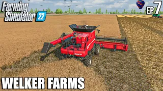 Canola HARVEST and LOAD with CASE | Welker Farms | Farming Simulator 22 | Timelapse 7