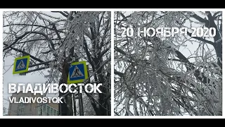 Владивосток обледеневший,без комментариев 20 ноября 2020.Vladivostok ice apocalypse.