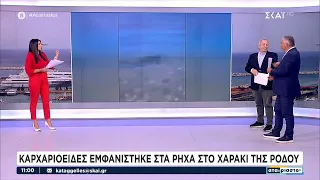 Βάρκες στη στεριά στην Εύβοια-Καρχαριοειδές και στη Ρόδο-Φλαμίνγκο στη Λούτσα-Fata Morgana στη Σκύρο