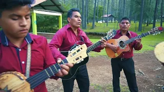 Alla en el calvario Jesus me Salvo, Trio Jesucristo el Rey de reyes