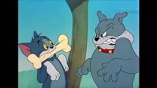 Tom and Jerry/ The Framed Cat 1950 HD, 720p