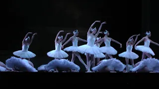Swans Entrance  (Act IV) - Swan Lake/Le Lac des cygnes - Choreography : Rudolf Noureev