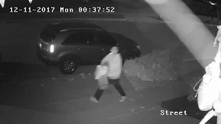 Auto Burglary Suspect Video 2