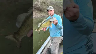 Lake Cumberland Smallmouth Bass! 🎣👀 #fishing #smallmouth #bass #bassfishing