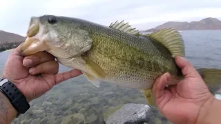 One Lure Does All The Work For Me - Fishing Lake Perris