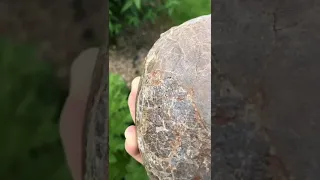 Real dinosaur egg🥚🐉