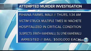 Police arrest 2 suspects in Wailuku for attempted murder