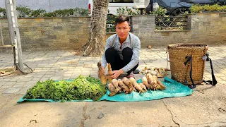 Harvest bamboo shoots and wild vegetables to sell in the big city