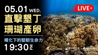 下水直擊墾丁珊瑚產卵！暖化下的堅韌生命力！｜2024/5/1 (三) 19:30｜公共電視網路直播 PTS Live