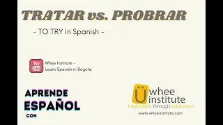TO TRY in Spanish: TRATAR vs. PROBRAR