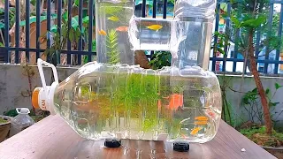 Tự làm bể cá | Cách làm bể cá bằng chai nhựa úp ngược nuôi cá cảnh | DEMO