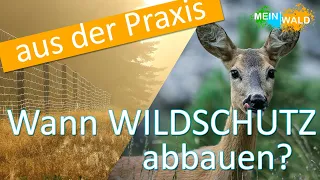 Wildschutz - Wann Zäune und Einzelschutz abbauen? 🐾🌿  Tipps aus der Praxis