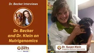 Dr. Becker and Dr. Klein on Nutrigenomics
