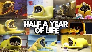 Half a year in the life of Bone Thief - Recall All