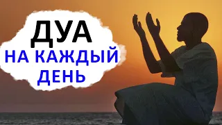 Лучший Дуа на Каждый День | Дуа каждое утро о прощении грехов