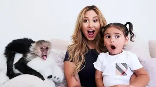 SURPRISING ELLE WITH A PET MONKEY!!!