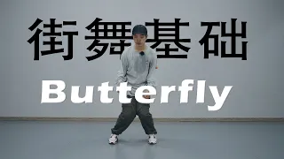 HIPHOP基础元素 Butterfly 丨街舞自学丨舞蹈入门丨街舞教程