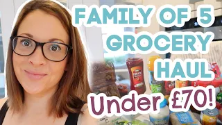 Family of 5 budget grocery haul under £70