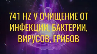 741 HZ Ⓥ Очищение от инфекций, бактерий, вирусов, грибов