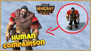 Warcraft 3 Reforged Comparison | Human Characters & Buildings