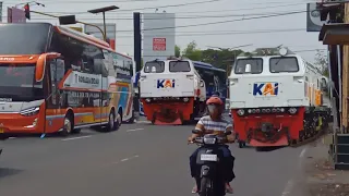 Wow ‼️ Ada Lokomotif moster 7 Gerbong Gado gado  dan bus keren berubah