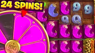 THIS *24 SPIN* EXTRA CHILLI BONUS WENT NUTS!