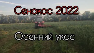 Сенокос 2022. Осенний укос люцерны.