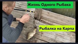 Рыбалка на Карпа. Ловля на поплавочную удочку и фидер. Республика Беларусь.