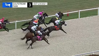 Gulfstream Park Carrera 3 (The Journeyman Stud Juvenile Stakes) - 23 de Octubre 2021