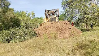 Caterpillar D6R XL Bulldozer Pushes Soil on Plantation