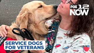 LIVE: NW Battle Buddies provide service dogs for vets