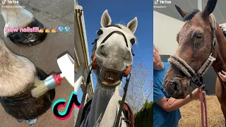 Satisfying Equestrian TikTok Compilation 2022 #98