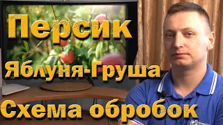 Схема захисту персика, яблуні-груші від СуміАгро. Таблиця обробок на цілий сезон