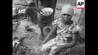 Nigeria - Civil War, Famine in Biafra