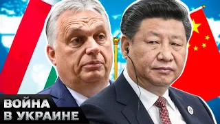 🤯Венгрия ПОДДЕРЖАЛА мирный план Китая В ОБМЕН НА ЭТО! Что ЗАТРЕБОВАЛ Орбан?