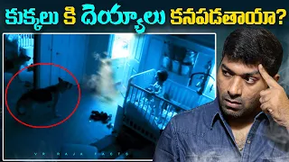 Dogs Can See A Ghosts ? | Top 10 Interesting Facts In Telugu | Q&A | V R Facts In Telugu