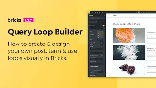 Bricks - Query Loop Builder (for Posts, Terms, Users)