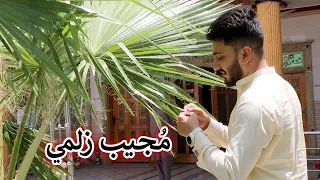 Aam Olas: Ep # (1103) | Mujeeb Zalmay.