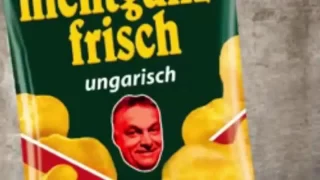 Trump Extra 3 - Illegales Blumenbeet in Dresden - NDR