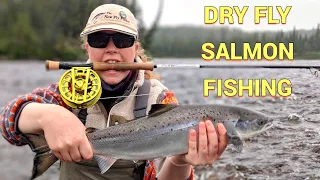 Dry Fly Salmon Fishing | First Experience !