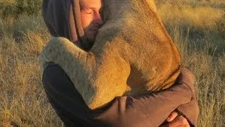 Lioness Hugs Conservationists Who Saved Her