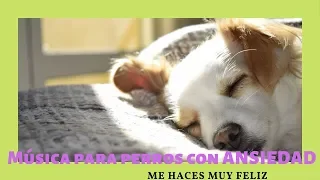 ❤️ MÚSICA para PERROS con ANSIEDAD❤️