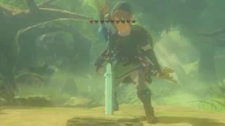 Trying To Pull The Master Sword Before 13 Hearts
