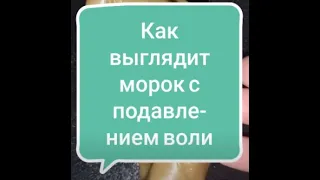 как выгялдит морок с подавлением воли?